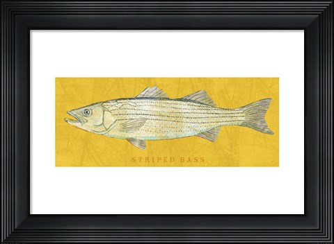 Framed Striped Bass Print