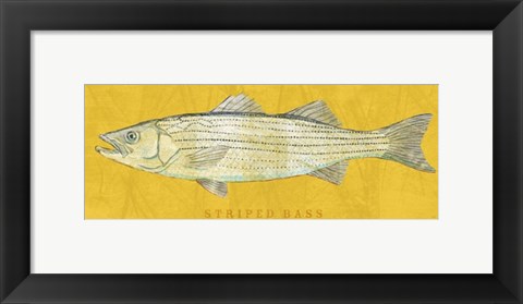 Framed Striped Bass Print