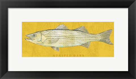 Framed Striped Bass Print