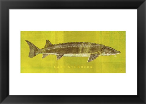 Framed Lake Sturgeon Print