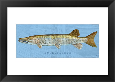 Framed Muskellunge Print