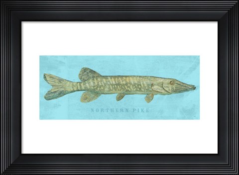 Framed Northern Pike Print
