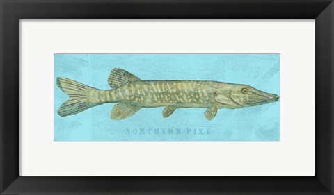 Framed Northern Pike Print