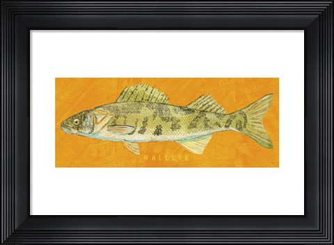 Framed Walleye Print