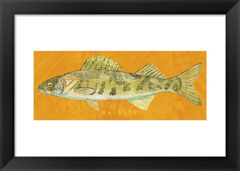Framed Walleye Print