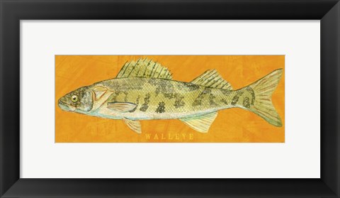 Framed Walleye Print