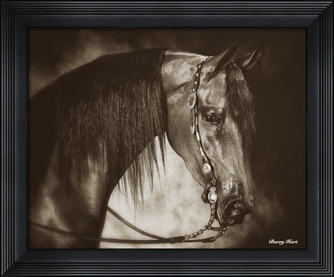 Framed Desert Arabian Print