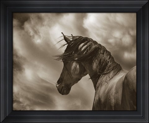 Framed Renegade Print