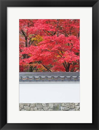 Framed Eikando Temple, Kyoto, Japan Print