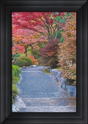 Framed Tenryuji Temple Garden, Sagano, Arashiyama, Kyoto, Japan Print
