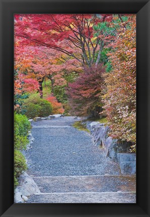 Framed Tenryuji Temple Garden, Sagano, Arashiyama, Kyoto, Japan Print