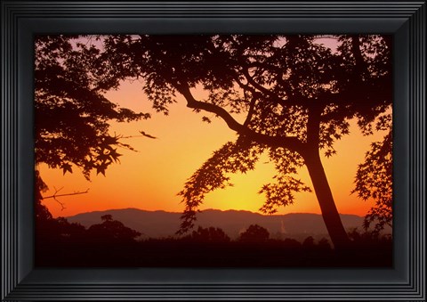 Framed Jojakkoji at Dawn, Arashiyama, Kyoto, Japan Print