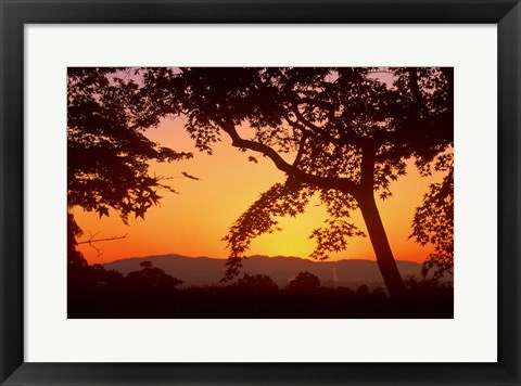 Framed Jojakkoji at Dawn, Arashiyama, Kyoto, Japan Print