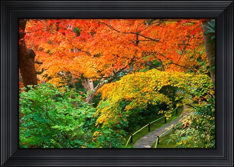 Framed Okochi Sanso, Kyoto, Japan Print