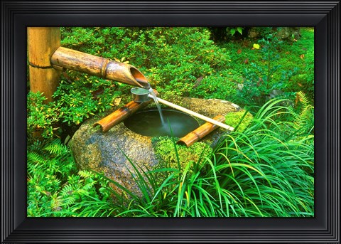 Framed Spring for Tea Ceremony, Sanzen-in Temple, Kyoto, Japan Print