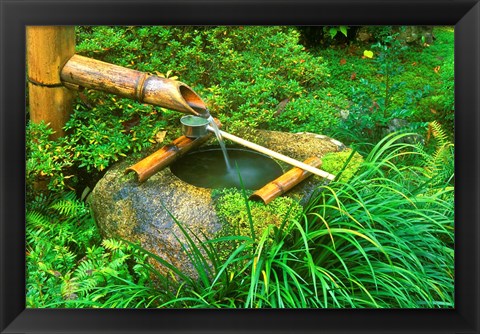 Framed Spring for Tea Ceremony, Sanzen-in Temple, Kyoto, Japan Print