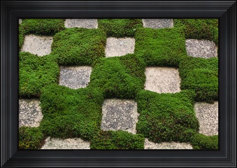 Framed Garden, Tofukuji Temple, Kyoto, Japan Print