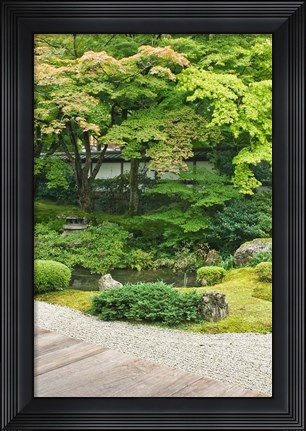 Framed Sennyuji Temple Garden, Kyoto, Japan Print