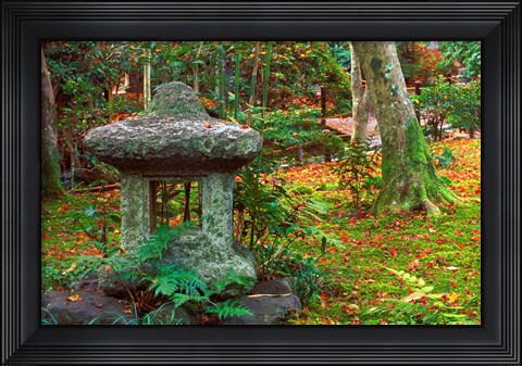 Framed Giohji Temple, Kyoto, Japan Print