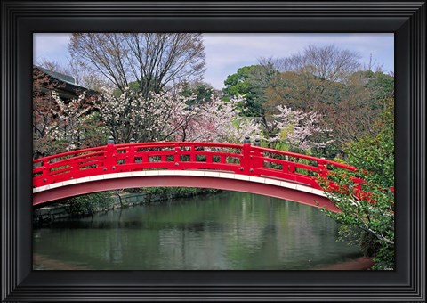 Framed Spring Season, Kyoto, Japan Print