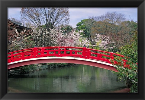 Framed Spring Season, Kyoto, Japan Print