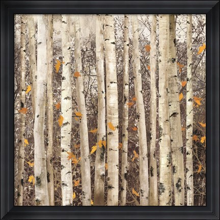 Framed Serene Union Print