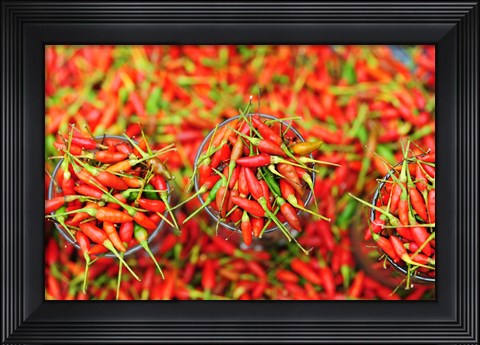 Framed Hot Chili, Semporna, Borneo, Malaysia Print