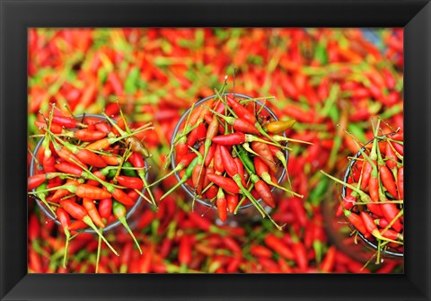 Framed Hot Chili, Semporna, Borneo, Malaysia Print