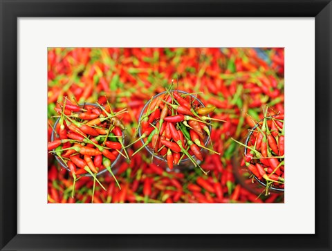 Framed Hot Chili, Semporna, Borneo, Malaysia Print