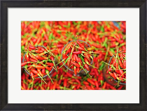 Framed Hot Chili, Semporna, Borneo, Malaysia Print