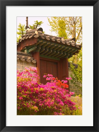 Framed Azaleas, The Deoksugung Palace Complex, Seoul, South Korea Print