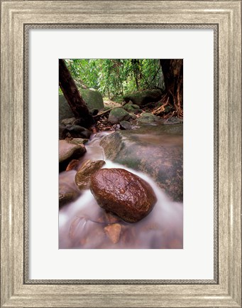 Framed Rainforest Stream, Bako National Park, Borneo, Malaysia Print
