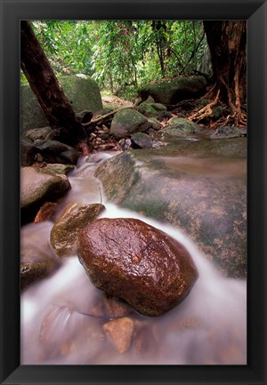 Framed Rainforest Stream, Bako National Park, Borneo, Malaysia Print