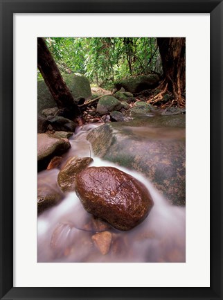 Framed Rainforest Stream, Bako National Park, Borneo, Malaysia Print