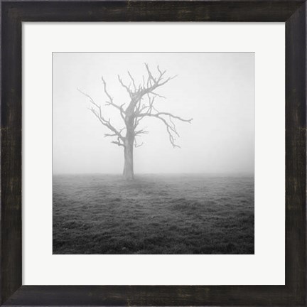 Framed Misty Weather II Print