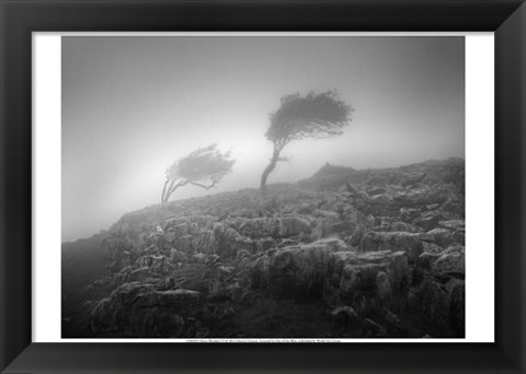 Framed Misty Weather VI Print