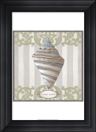 Framed Riviera Shell II Print