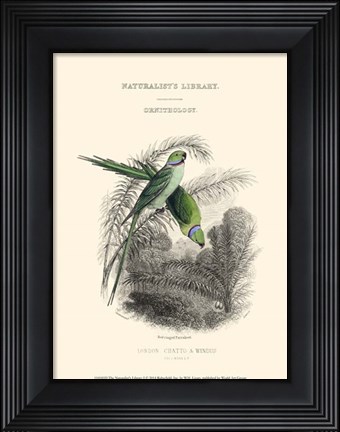 Framed Naturalist&#39;s Library I Print