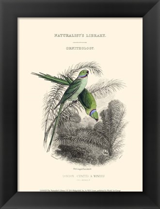 Framed Naturalist&#39;s Library I Print