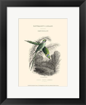 Framed Naturalist&#39;s Library I Print