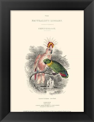 Framed Naturalist&#39;s Library II Print