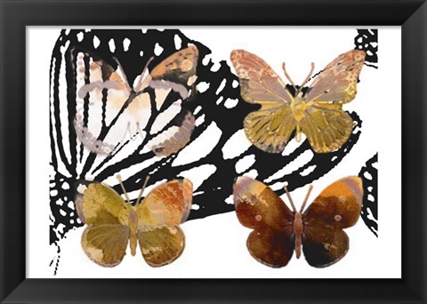 Framed Layered Butterflies III Print