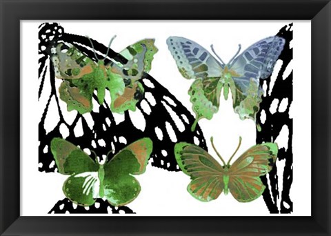 Framed Layered Butterflies V Print