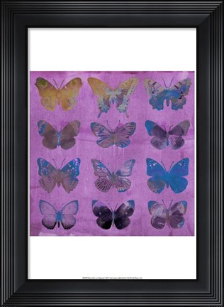 Framed Butterflies on Magenta Print