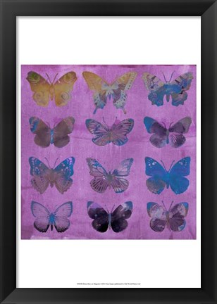 Framed Butterflies on Magenta Print