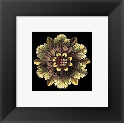 Framed Rosette on Black I Print