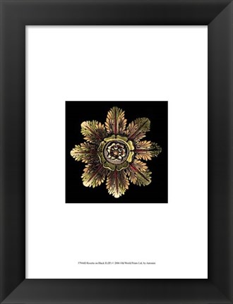 Framed Rosette on Black II Print