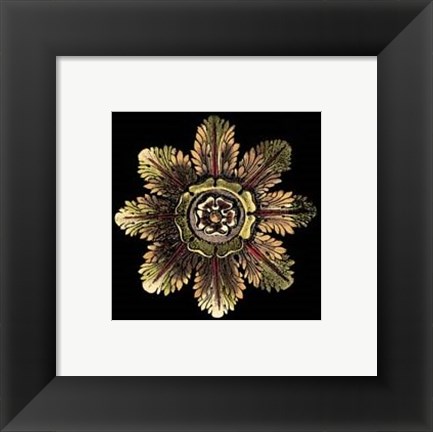 Framed Rosette on Black II Print