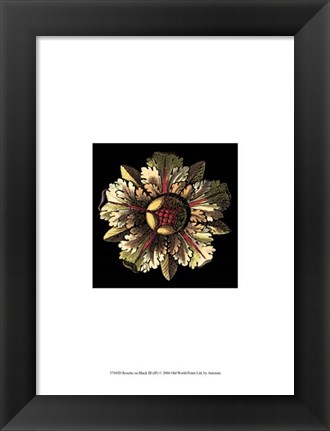 Framed Rosette on Black III Print