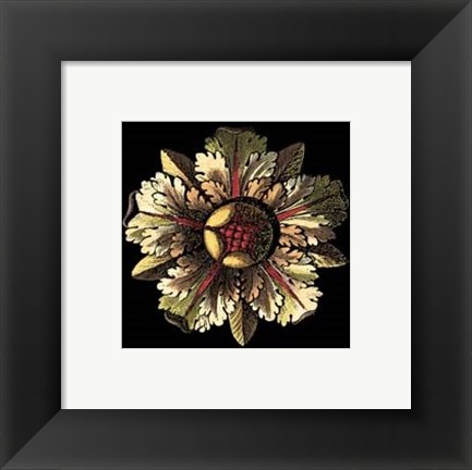 Framed Rosette on Black III Print